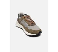 Hoff LIMA II 40 Multicolor