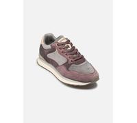 Hoff MELBOURNE 37 Violeta