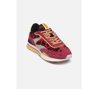 Hoff PINK LADY 38 Violeta