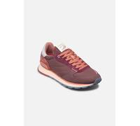 Hoff TRACK & FIELD W 38 Vino