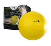 Hofman Maximus - Pelota de juguete para caballos y ponis (100 cm), color amarillo