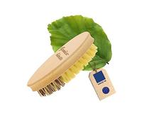 Hofmeister® Cepillo para Verduras 13,5 cm Madera - cerdas Naturales 2 Grados de dureza: Unión Genuina y Fibra, para Patatas, Zanahorias y Verduras, Made in EU