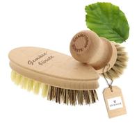 HOFMEISTER® - Juego de cepillos para hongos y vegetales para limpiar suavemente champiñones y verduras, de crin suave, fibra y unión, madera de haya
