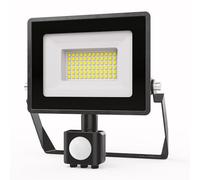 HOFTRONIC Stratos - Foco LED con detector de movimiento e interruptor crepuscular (30 W, 2505 lúmenes, 6500 K, luz blanca fría, IP65, con sensor PIR, para garaje, entrada, jardín y terraza)
