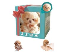 hogarevrumah Juguete de peluche interactivo para cachorros, un juguete electrónico cremoso para mascotas que puede caminar, ladrar y mover su cola, con movimientos realistas y sonidos de ladrido