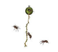 Hogvinnatil Casa para Arañas Saltarinas - Cueva Magnética De Refugio con Puente De Cuerda Incluido - Refugio para Insectos y Reptiles