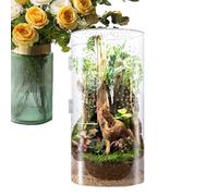 Hogvinnatil Terrario de araña de salto, carcasa de araña de salto, terrario acrílico de tarántula, tanque de reptiles arboreales impermeable con puerta delantera para tarántula, araña, planta, orar