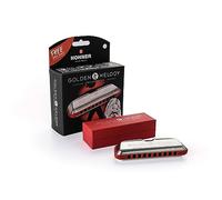 Hohner Golden Melody Harmonica - Llave de D-flat V2