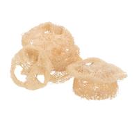 Hohopeti 24 Piezas Juguetes Masticables de Lufa Natural para Pequeñas Mascotas Juguetes para Conejos y Hámsters Rebanadas de Lufa para Morder Estimulación Dental y Limpieza Oral Jaulas