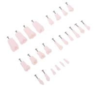 Hohopeti 24 Piezas Modelo Typodont con Tornillos Modelo de Reemplazo de Dientes Permanentes Completos para Entrenamiento y Práctica Aula de Dientes Artificiales para Enseñanza