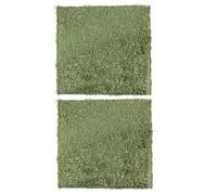 Hohopeti Alfombrillas para Reptiles 2 Pcs (30x30 Cm) Césped Artificial Hidratante Verde, Tapetes de Musgo Gruesos Simulados, Esterillas Absorbentes y Transpirables para Mascotas Trepadoras