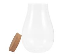 Hohopeti Botella Ecológica de Vidrio para Briófitas 20X14 CM Tapón de Madera Estación de Propagación de Plantas para Terrario Decoración Interior para Sala Balcón y Oficina
