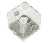 Hohopeti Caja Acrílica para Cría y Alimentación de Arañas Saltarinas Insectos y Pequeños Reptiles con Ventilación Lateral Resistente y Transparente Mediano con Termómetro Adhesivo para