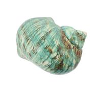 Hohopeti Decoración Natural de Conchas Marinas Grandes para Acuarios Accesorio DIY de Mar Verde para Decoración de Viveros y Fiestas Temáticas Playa