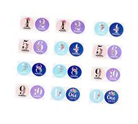 Hohopeti Juego de Pegatinas para Bebé con Diseño Floral Accesorios Fotográficos para Recién Nacidos Respetuosos con La Piel