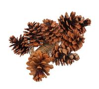 Hohopeti Juguete para Pájaros de Madera Natural con Piñas Colgante para Jaula Suave para Loros Pequeños y Agapornis Accesorio Práctico para Ejercicio y Entretenimiento