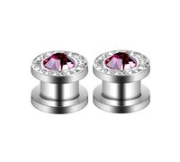 Hoisy Expansores de Oreja 2 Piezas, Dilatador Tunel 10mm, Redondo con Circonita, Acero Inoxidable, Tunel Dilatador Plata