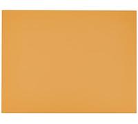 Hoja 50x65 (125) Guarro Cart IRIS 185g Cuero