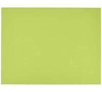 Hoja 50x65 (125) Guarro Cart IRIS 185g Kiwi