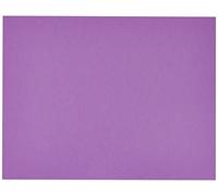 Hoja 50x65 (125) Guarro Cart IRIS 240g Violeta