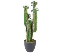 Hoja 75 cm Premium Cactus Artificial con Olla
