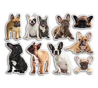 Hoja de pegatinas A5 de vinilo Frenchie - Perros, cachorro, bulldog, mascotas, álbumes de recortes, decoración de viaje, etiqueta para amigos, niñas, niños, estética #80805