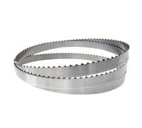 Hoja de sierra de cinta de carnicero for cortar carne y huesos for máquina de corte rápido, hoja de sierra for carne congelada, pescado, pollo, carne, hueso (Color : 1650MM, Size : T4 0.56mm)