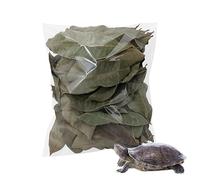 Hojarasca para Isópodos,50 Piezas Suministros Naturales para Mascotas | Hojas De Longan para Acuario - para Ranas Peces Serpientes Camarones Hogar Interior Exterior Hábitats Agua Animales Pequeños