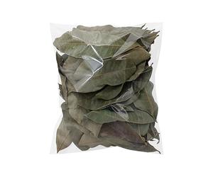 Hojarasca Para Reptiles 50 Piezas Suministros Para Mascotas Naturales Y | Lecho Para Hábitat De Tortugas Para Ranas Peces Serpientes Camarones Tortugas Lagartos Interior Exterior Hábitats
