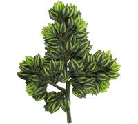 Hojas artificiales realistas de banyan, paquete de 12, ramas de árbol de ficus de seda sintética de 50 cm con revestimiento resistente a los rayos UV, para vegetación versátil para jardín, paisajismo