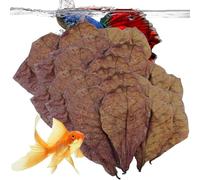 Hojas de almendra betta - Hoja de camarón indio, accesorios para peceras | Hojas de acuario de camarones de cereza roja cristalina, hojas de caracoles para equilibrio de pH del tanque de agua de peces