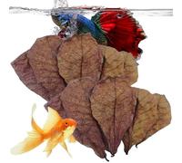 Hojas de almendra para acuario, hojas de almendra Catappa, hojas de camarón betta, hojas de catappa de acuario, acondicionador de agua de equilibrio de pH para acuario, tanque de tortugas