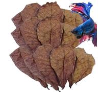 Hojas de almendras indias - Hojas naturales de Catappa | 10/50pcs Ketapang Leaf Wetter Betta Fish Aquarium Care | Ajuste el pH del agua, promover la curación, mejorar la reproducción, mejorar el medio