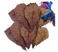 Hojas de almendras indias - Hojas naturales de Catappa | 10/50pcs Ketapang Leaf Wetter Betta Fish Aquarium Care | Ajuste el pH del agua, promover la curación, mejorar la reproducción, mejorar el medio