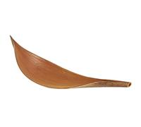 Hojas de Cacao Conservadas Y Palmeras Lanza - Auténticos Colores Cremosos, Decoraciones Vegetales Neutrales, Rellenos De Jarrones Creativos Ecológicos, Sostenibles, Tallos Procesados A Mano | Flor