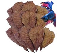 Hojas de camarón Betta - Hojas de camarón de pescado betta, hojas de tanque betta camarones | Betta hojas de desove camarones, hojas de catappa secas camarones betta, acondicionador de agua de