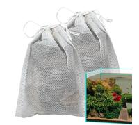 Hojas de Catappa Betta: hojas de camarones acuáticos, accesorio de peces naturales, herramienta de mejora del hábitat, decoración de impulso de inmunidad | Para pescado, tanque, hábitat de acuario, me