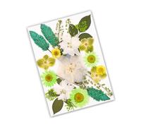 Hojas de Flores secas Naturales para álbumes de Recortes, marcadores de Velas, fabricación de Joyas, Flores secas Naturales prensadas para decoración Hecha a Mano de Resina epoxi