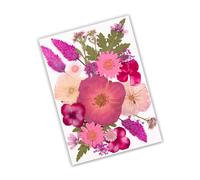 Hojas de Flores secas Naturales para álbumes de Recortes, marcadores de Velas, fabricación de Joyas, Flores secas Naturales prensadas para decoración Hecha a Mano de Resina epoxi