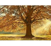 Hojas de otoño de un Gran árbol: Rompecabezas de 4000 Piezas para Adultos con un Juego Diario Que desafía el Cerebro para Adolescentes Mayores de 14 años