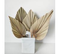 Hojas de palma secas grandes naturales, 4 abanicos de palma seca de diferentes formas, lanzas de palma secas de 45 cm, plantas reales, ramo de flores secas para decoración bohemia de oficina, hogar,