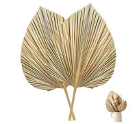 Hojas Tropicales 2 Hojas de Palma secas Decorativas 45 x 25 cm Tropicales de Palma Grandes Estilo Boho para arreglos de Mesa en jarrones de Boda.