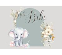 Hola, bebé (baby shower)