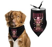 Hola San Valentín, sombrero con lazo de vaca y corazón, gafas de sol, pañuelo para perro, bufanda para mascotas, babero triangular, accesorio para mascotas para perros y gatos medianos y grandes, niño