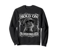 Hold on I'm Overstimulated Funny Cat Dramatic Lightning Band Sudadera