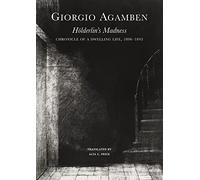 Holderlin's Madness - Chronicle of a Dwelling Life, 1806-1843: Chronicle of a dwelling life, 1806-1843 (Italian List)