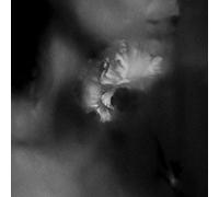 Holding Absence