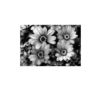 Holding Space for Change: A Simple Journal for Perimenopause and Menopause