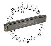 Hole Harmonica, 24 Hole 1.2mm Harmonica Polyphonic Mouthorgan Brass Base Plate Professional Stainless Steel Instrument for Music Lover Play (Tecla D)
