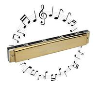 Hole Harmonica, 24 Hole 1.2mm Harmonica Polyphonic Mouthorgan Brass Base Plate Professional Stainless Steel Instrument for Music Lover Play (Tecla D)